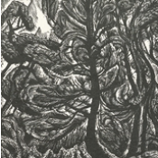 A scanned woodcut image of a tree in the forest taken from the Thomas Fisher Rare Book Library materials.